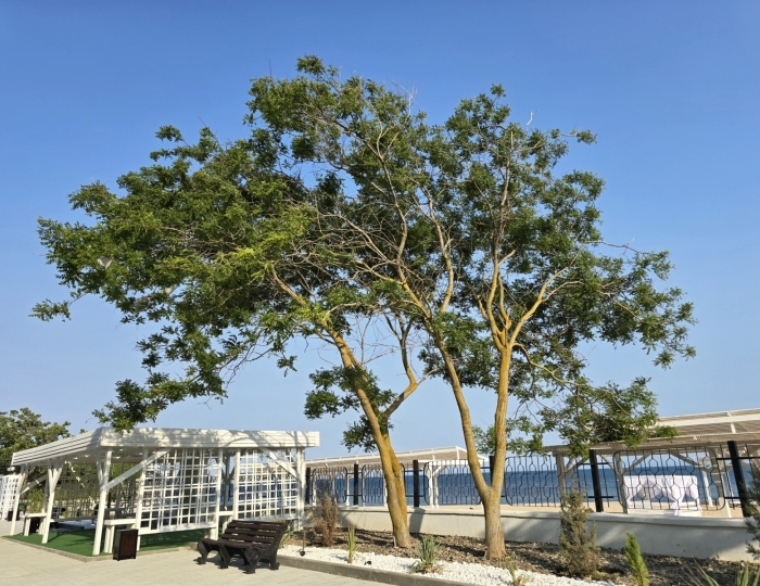 Санаторий «Дружба» Евпатория